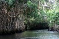 Endless waterways